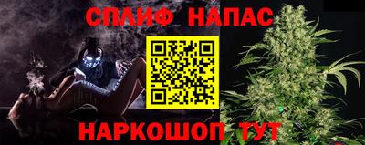 трава Бийск