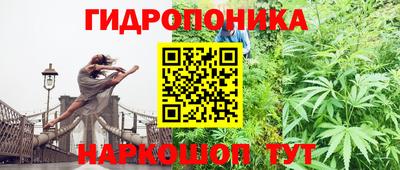 ПСИЛОЦИБИНОВЫЕ ГРИБЫ Балашиха