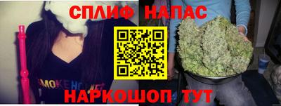 трава Бийск