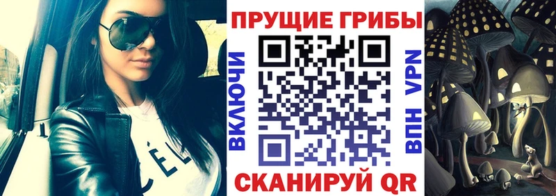 Галлюциногенные грибы мицелий  Кимовск 