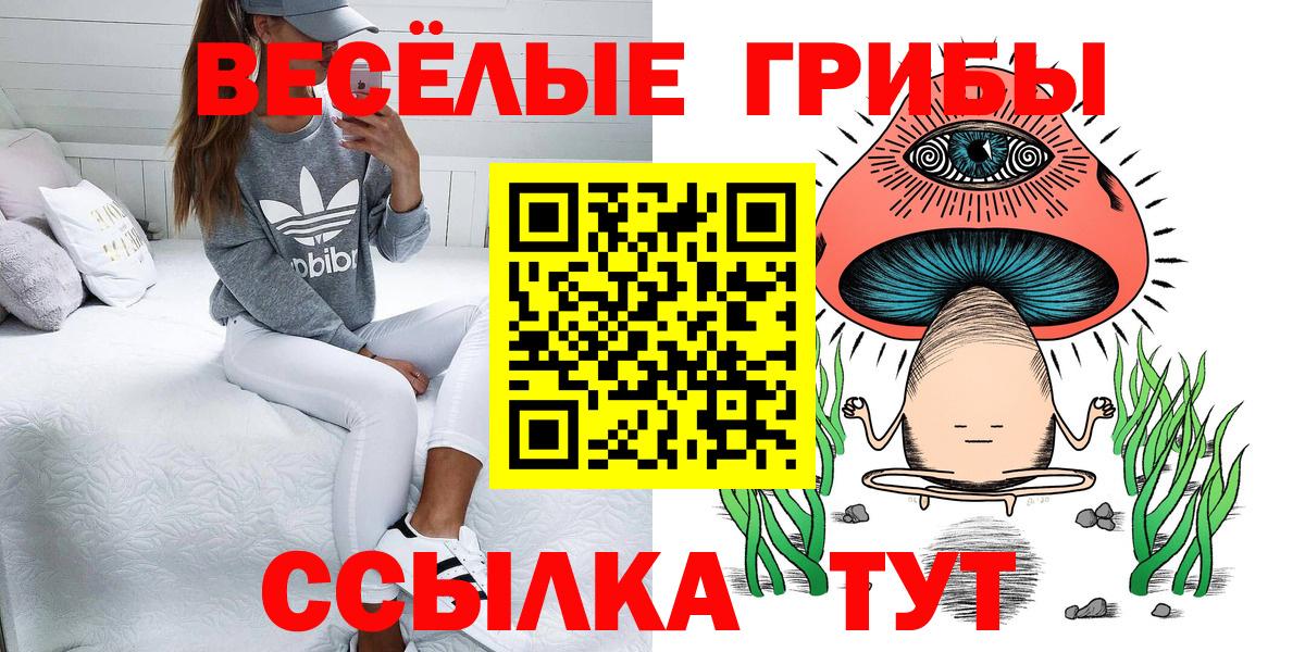 Галлюциногенные грибы мицелий Кимовск