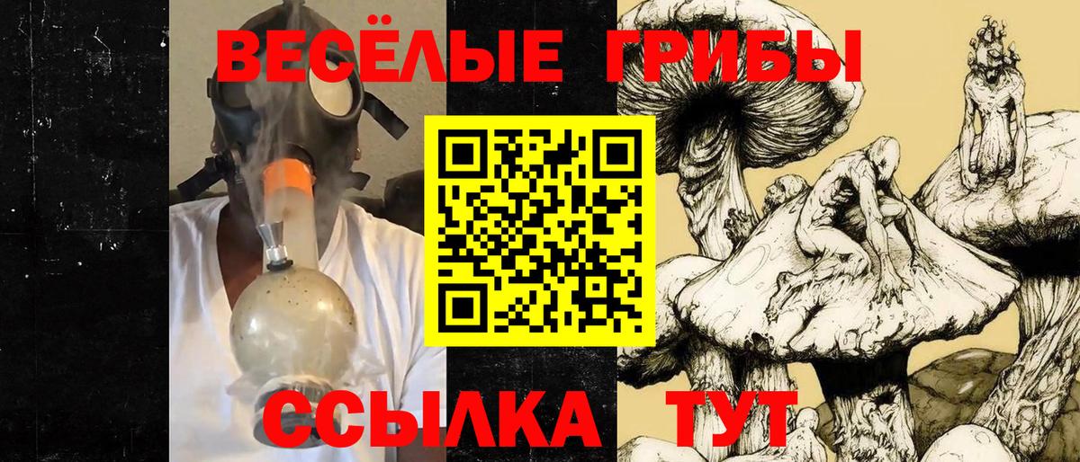 Псилоцибиновые грибы прущие грибы  Кимовск 