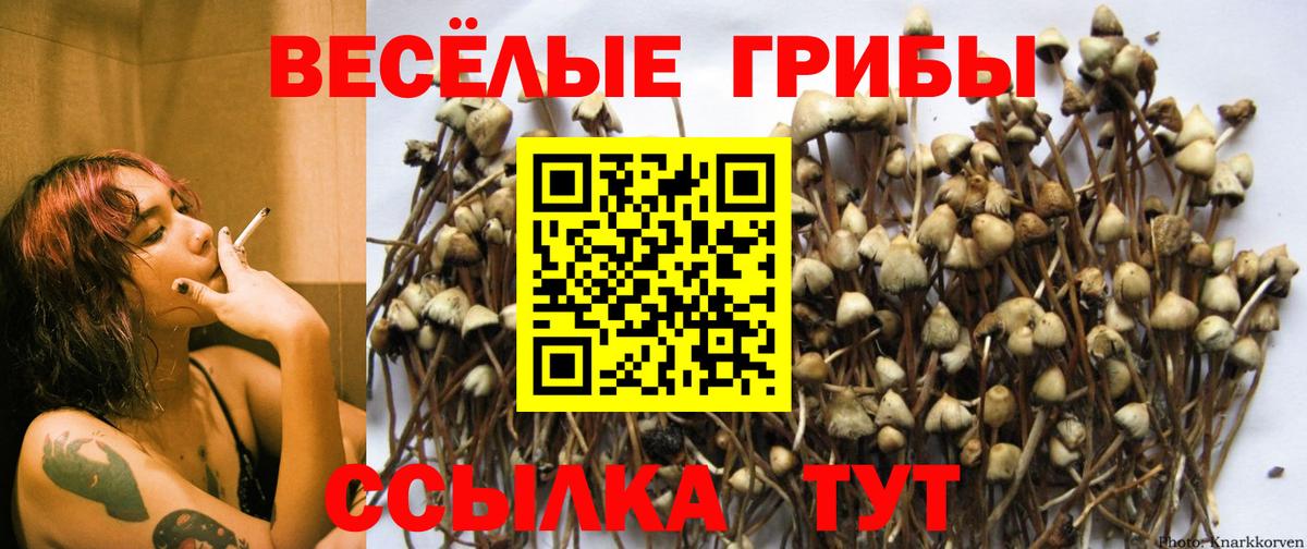 Псилоцибиновые грибы мухоморы Кимовск